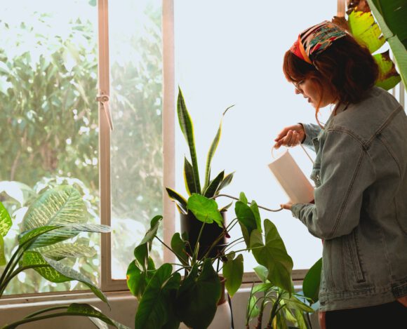 27 ideias de presente para quem gosta de plantas 27 ideias de presente para quem gosta de plantas